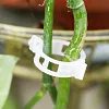 50/100/150 pi&egrave;ces Clips support pour plantes