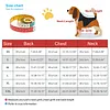 Dog Winter Coat,Puppy Puffer Jacket Warm Padded Pet Snow Vest Cute Windproof Dog Clothes Doggy Warm Waterproof Outdoor Lightweight Small Dog Hoodie