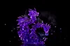 Magellan - ONE PIECE Resin Statue - A Plus Studios