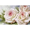 White Rose - 11CT Stamped Cross Stitch - 45*30cm - Flower