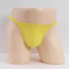 Detachable Sexy Ice Silk Stretch Sheer Low Rise Thong