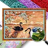 Swan Lake - 9CT Full Beaded Cross Stitch Kit(50x36cm)