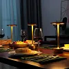 Lampe de table m&eacute;tallique sans fil 