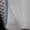 Joyfball 2025 Player version Argentina National Team Home Football Shorts