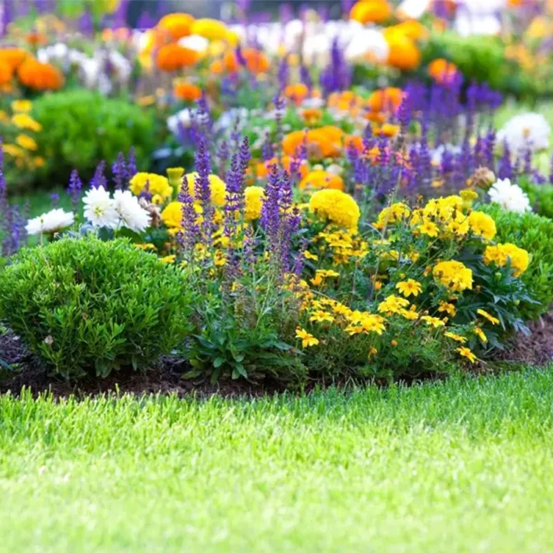 Mixed Perennial Flowers for All Seasons &ndash; 100+ Kinds