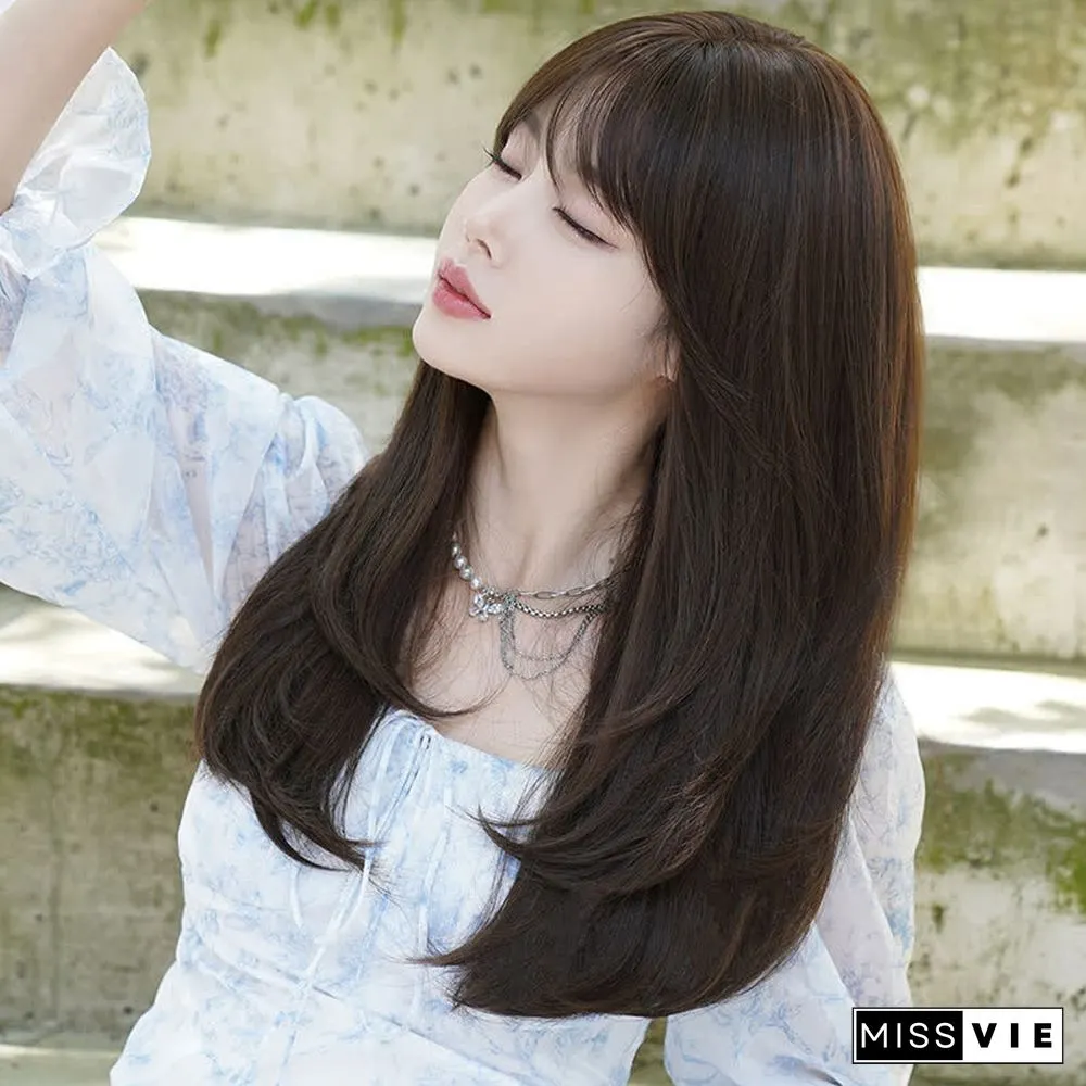Long Layered Straight Wig With Bangs