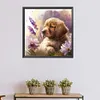Golden Retriever Puppy-Paint by Numbers Acrylic Painting 40*40CM