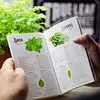 Culinary Cooking Herb Seeds Mixed Variety Pack