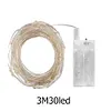 3M Copper Wire String Lights PVC LED Fairy Lights for Bobo Balloon (White Light)