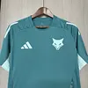 2025-2026 Cruzeiro Training Football Shirt 1:1 Thai Quality
