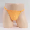 Detachable Sexy Ice Silk Stretch Sheer Low Rise Thong