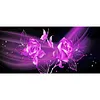 Rose - Full Round Diamond Painting(80*40cm)