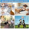 Interactive Dog Toys Plush Dog Toy Squeaky Crazy Bouncer Ball for Small and Medium Puppy to Self Play