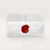 CARTIER JUSTE UN CLOU NECKLACE