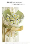 DIY Handmade Twist Stick Craft White Daisy Bouquet Chenille Stems Craft Pipe Cleaners Gift Decor Set