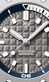 DIVER Grey Dial 42mm