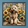Teddy-Peinture diamant foret rond-40*40cm