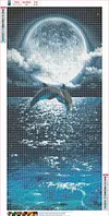 Dolphins - Full Round/Square Diamond Painting(80*40cm)
