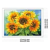 Sunflower - 11CT Full Beaded Cross Stitch Kit(65x50cm)