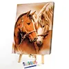 Loving Horses - Paint by Numbers Acrylic Painting 40x50cm(HOT)
