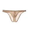 Men's Ice Silk Transparent Low-Waist Ultra-Thin Sexy Briefs