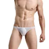 Men's Sexy Seamless See Through Underwear Low Waist Ice Silk Backless Tangas Sheer Bikini Briefs Underpants