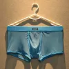 Men's Boxer Briefs Sexy Mesh Breathable Underwear Cool See-Through Soft Underpants