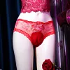 Men's Crossdresser Panties Hiding Gaff Bikini Brief Shaping Camle Toe Underpants Crossdressing Transgender Underwear