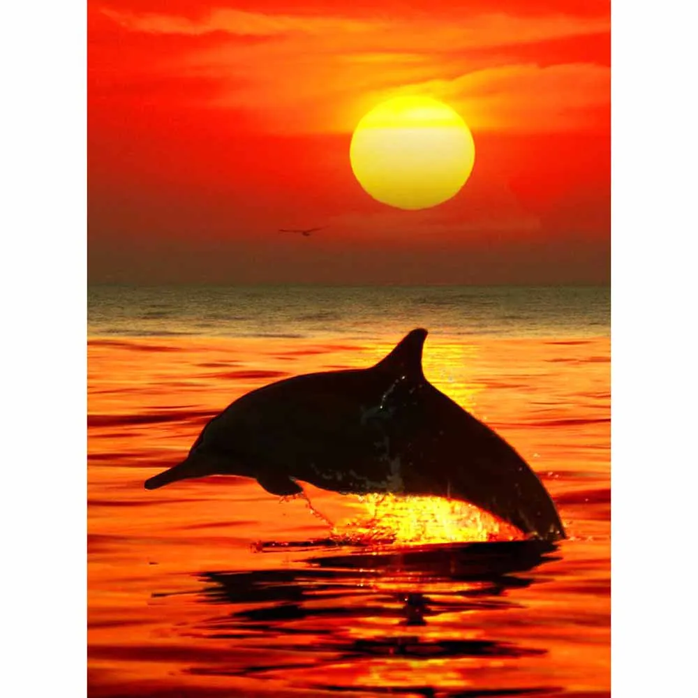 Diamond Painting - Full Round/Square Drill - Sunset(30*40 - 50*60cm)