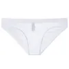 Men's Mesh Transparent Bulge Pouch Bikini Briefs Underwear Breathable Super Thin Briefs
