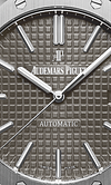 Silver 904L Steel Gray Ruthenium Dial - Automatic - 41mm