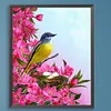 【Limited Stock Sale】Twig Sparrow-Paint by Numbers Acrylic Painting 40*50CM