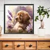 Golden Retriever Puppy-Paint by Numbers Acrylic Painting 40*40CM