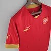 2022 FIFA World Cup Serbia Home Soccer Shirt love fball