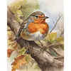 (US Local)Robin-11CT Stamped Cross Stitch Kit(40x50cm)