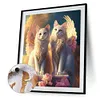 Angel Cat-Paint by Numbers Acrylic Painting 40*50cm