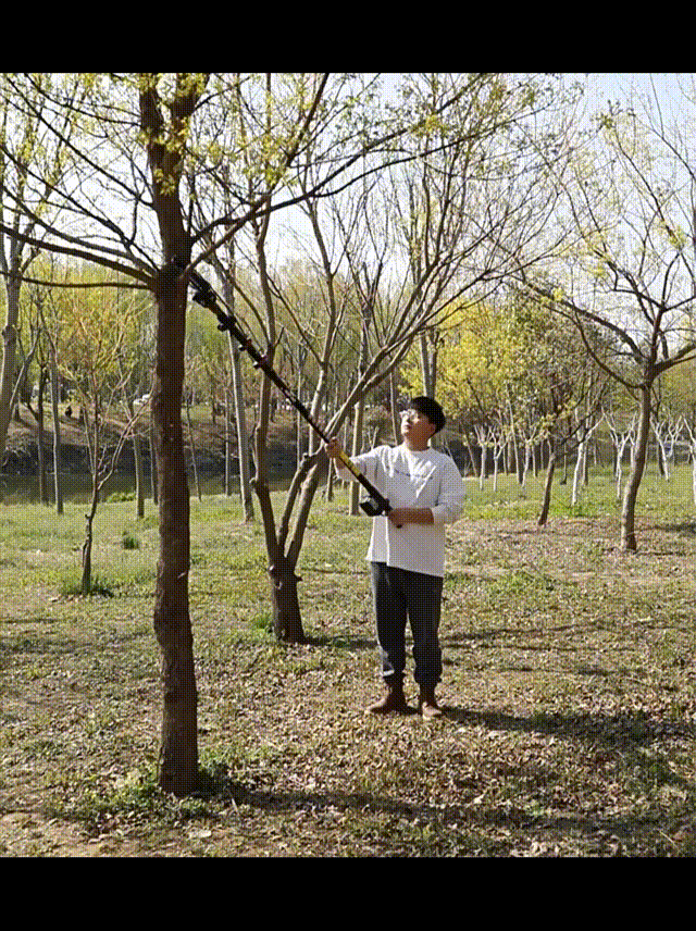 1713424400771191.gif 高剪树枝.gif