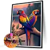 Perroquet Compl&egrave;te Carr&eacute; Diamant Peinture 30X40CM