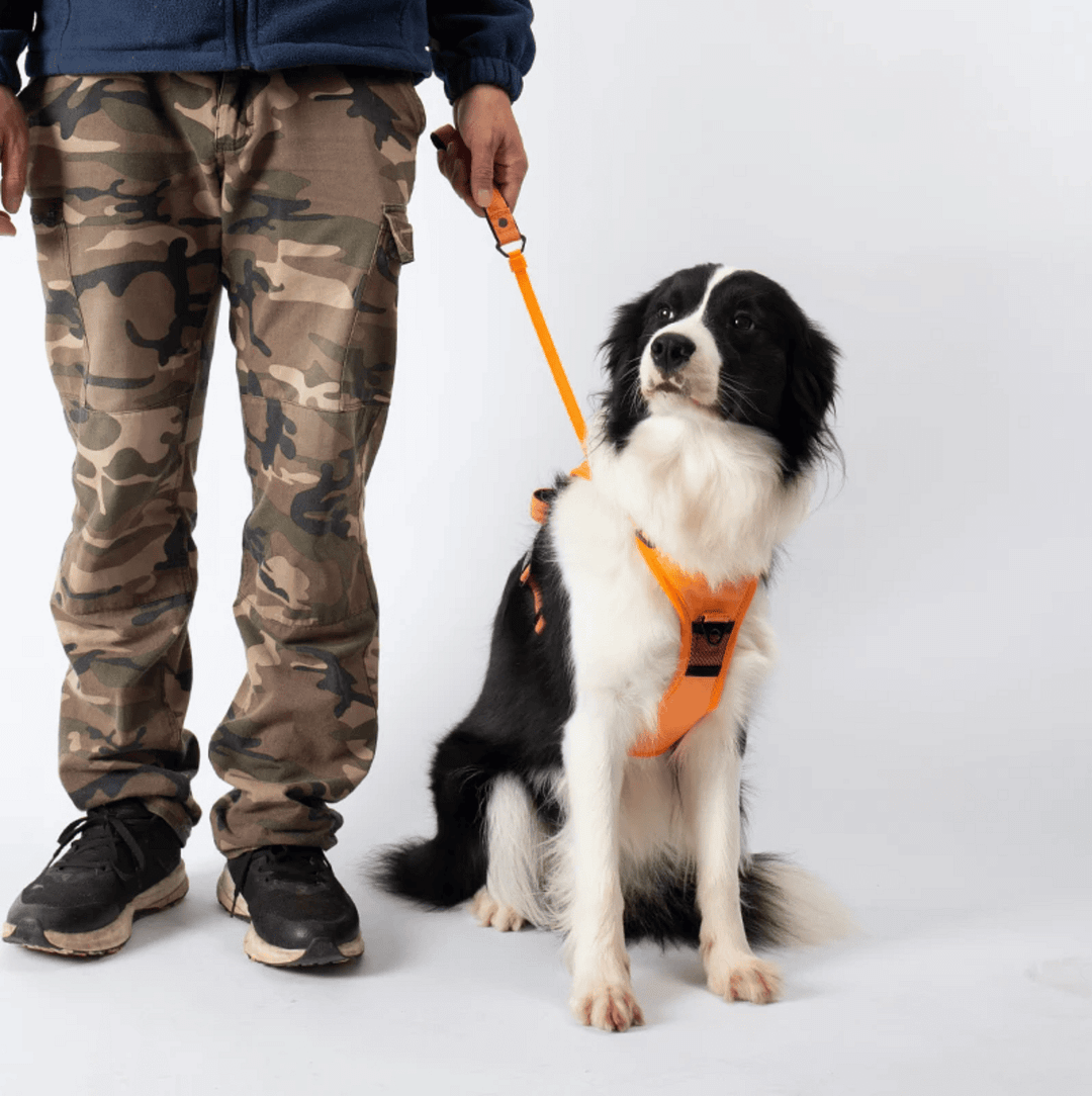 Poochbark&trade; 3 in 1 Dog Harness with Built-In Leash