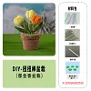 DIY Handmade Twist Stick Craft Small Potted Plants Chenille Stems Craft Pipe Cleaners Gift Decor Set