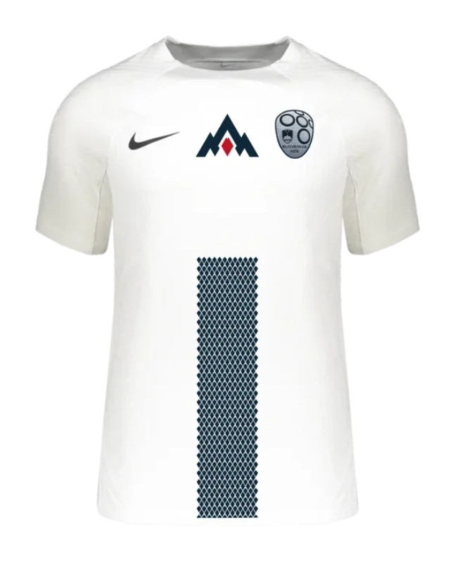 2024 Slovenia Home  Football Shirt 1:1 Thai Quality