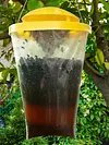 Flies Catching Bag with Bait Pest Control Fly Trap Pack Outdoor Fly Catcher Cage