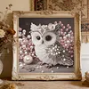 Owl-Partial Special Shaped Diamond Painting 30*30CM