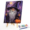 Grandpa The Wizard-Paint by Numbers Acrylic Painting 30*40CM