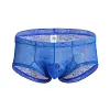 Low Waist Sexy Sheer Mesh Lace Briefs