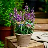 8PCS DIY Diamond Painting Garden Stakes Decor Kit (Butterfly)