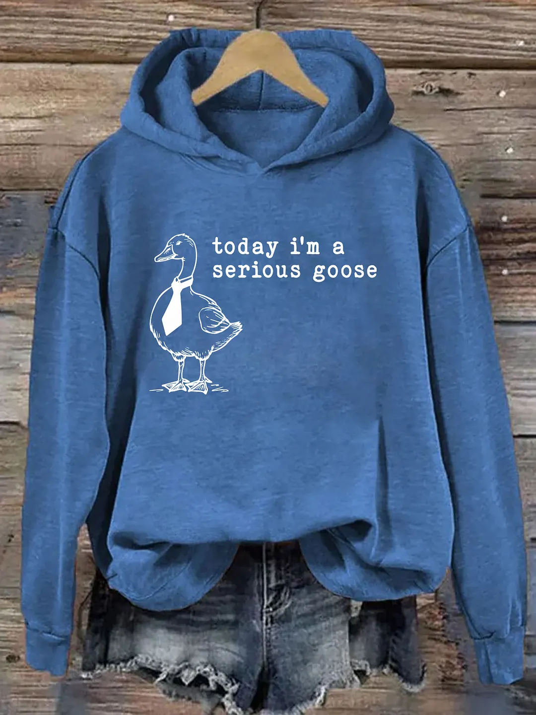 Today I'm a Serious Goose Hoodie