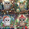 (US Local)4pack Xmas Owl-Special Shaped Diamond Painting Kit(30x30cm)