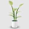 500LED Programmable Indoor Plant Magic Glow Potted Plants Colorful Glowing Artificial Plant Bonsai, Magic Indoor Plant LED Night Light for Home Indoor Plant Decoration (Without Pot)