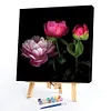 (3Pcs）Flower Animal-Paint by Numbers Acrylic Painting 20*20cm